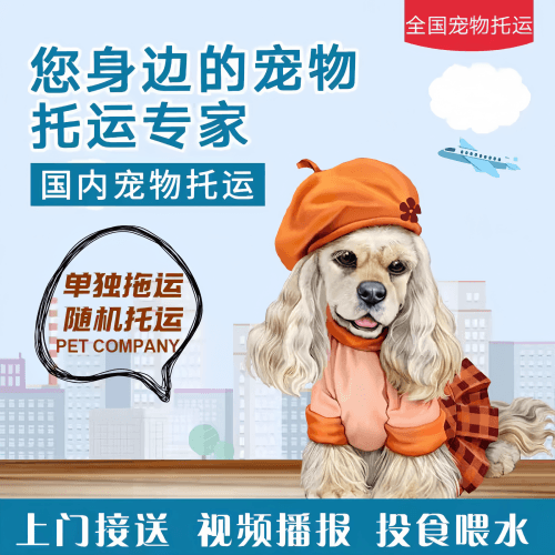 满财茂名宠物全球达宠物托运作为专业的宠物运输代理机构